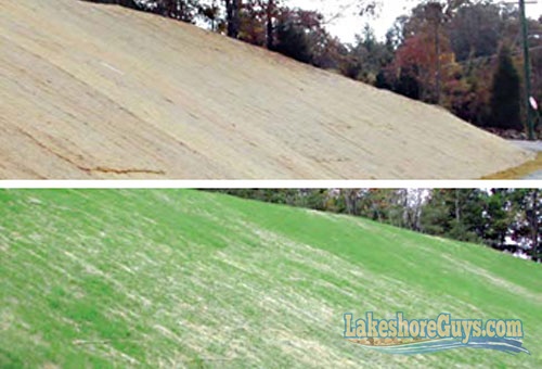 erosion-matting-before-and-after