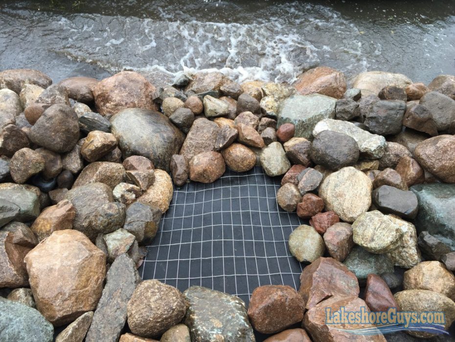 Muskrat Control for Shorelines • Stop Muskrats from Digging • Lakeshore Guys® MN Shoreline Experts