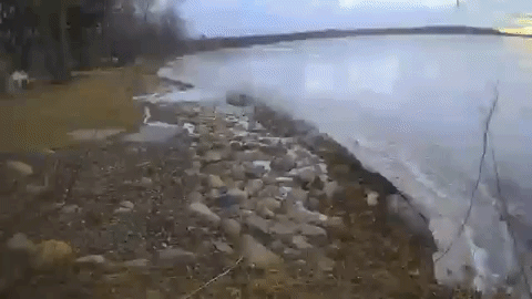 Click to watch timelapse video of an ice-damage-resistant shoreline