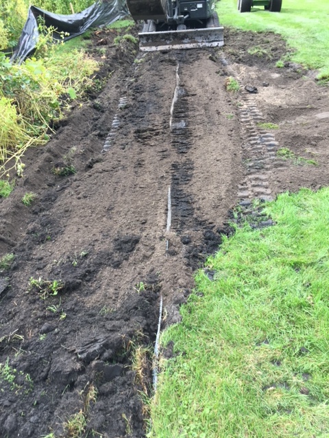 Our muskrat-control mesh - now completely underground