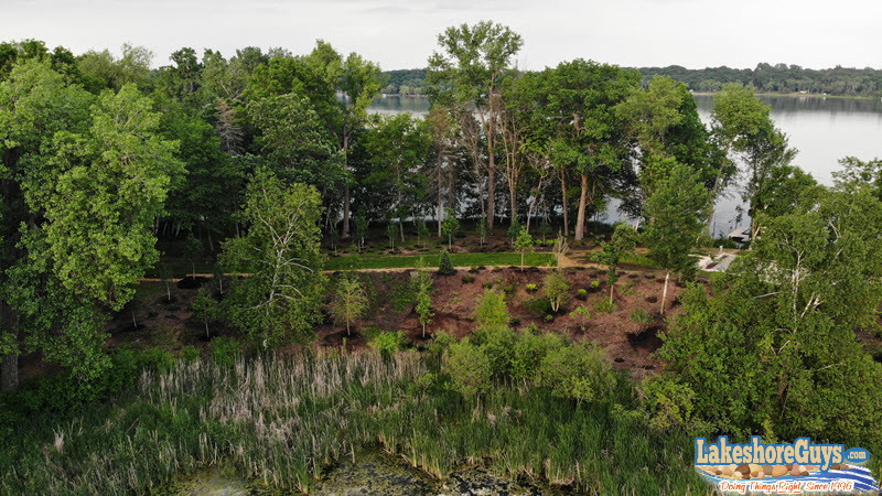 Native plantings and natural shoreline on peninsula - Big Carnelian Lake, Stillwater, MN