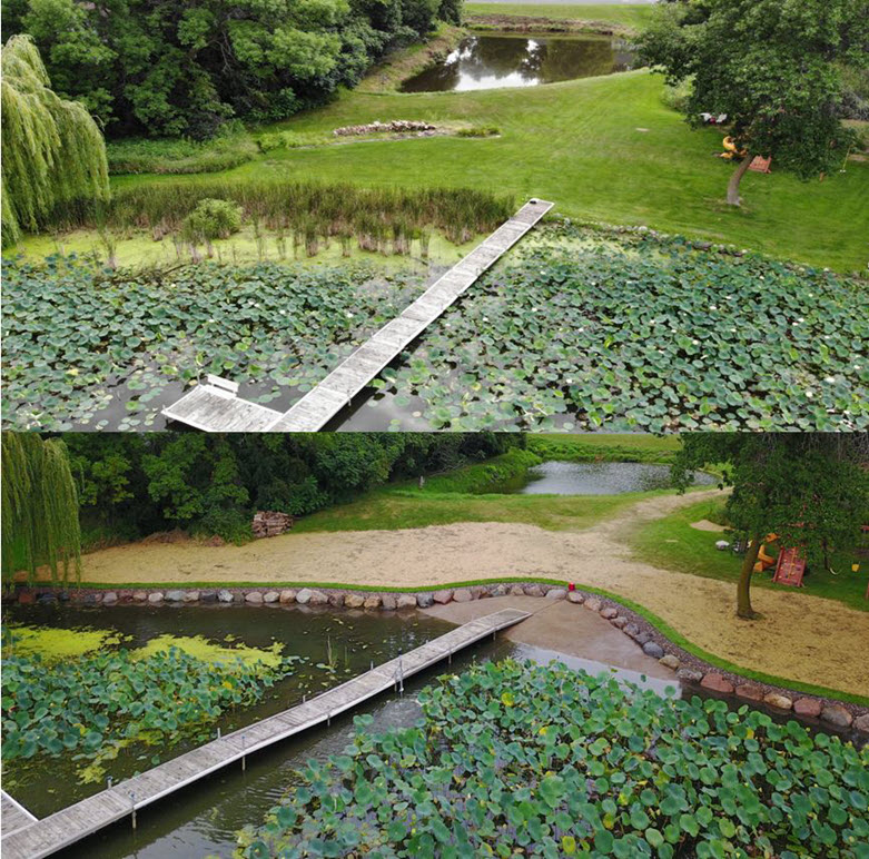 Lotus Lake shoreline restoration - before and after