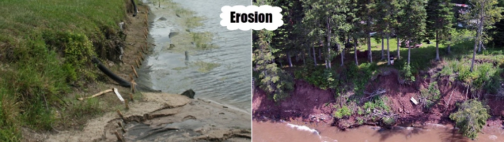 title-bg-new title-bg-new