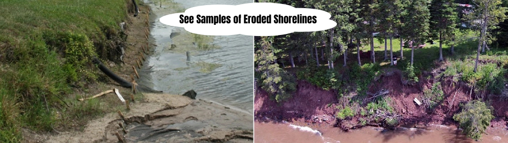See Samples of Eroded Shorelines